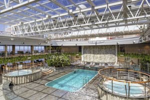 MSC Cruises MSC Seashore Jungle Pool Lounge 2.jpg